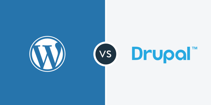 WordPress Vs Drupal: Which CMS You Want to Choose in 2022